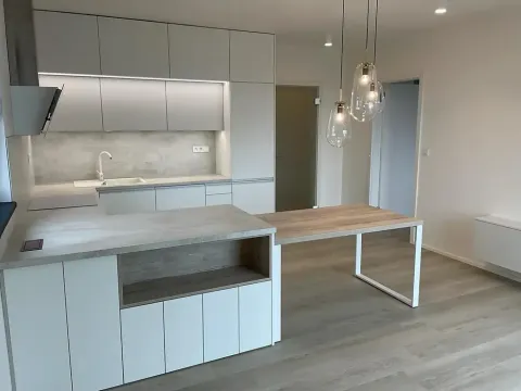 Pronájem bytu 2+kk, Hradec Králové, Kubelíkova, 54 m2