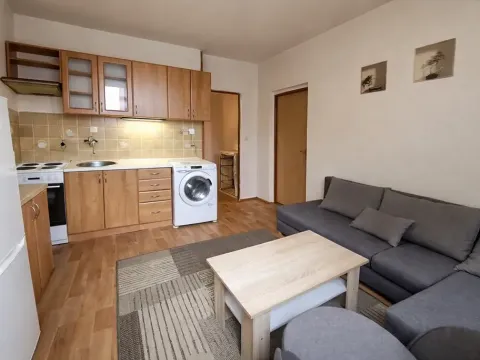 Pronájem bytu 1+1, Chomutov, Školní pěšina, 37 m2