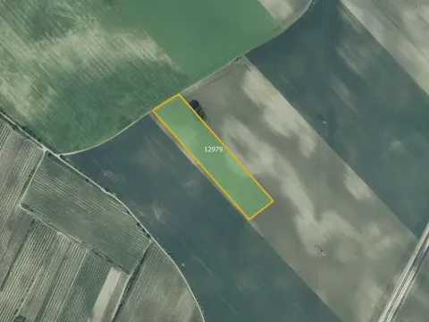 Prodej pole, Mutěnice, 26029 m2