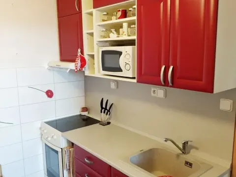 Pronájem bytu 2+1, Ostrava, Bedřicha Nikodema, 51 m2