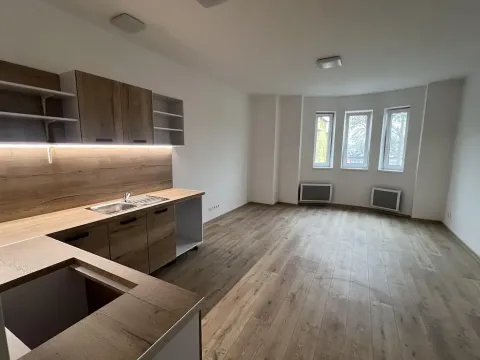 Pronájem bytu 2+kk, Ostrava, Žofie Podlipské, 51 m2