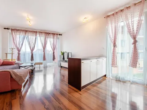 Pronájem bytu 2+kk, Chotěšov, Nová, 50 m2