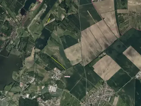 Prodej lesa, Dubňany, 5378 m2