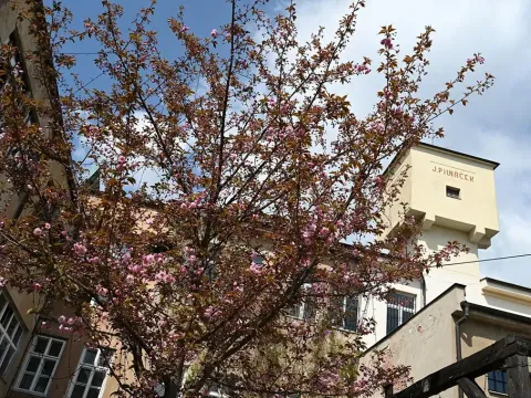 Pronájem ordinace, Hradec Králové, Pospíšilova, 49 m2