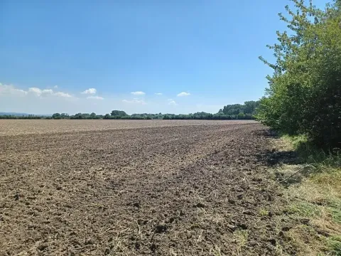 Prodej pozemku pro bydlení, Horka nad Moravou, 43000 m2