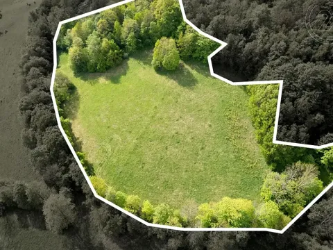 Prodej louky, Děčín, 27274 m2