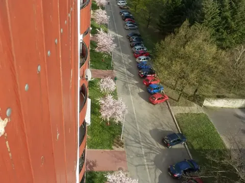 Pronájem bytu 1+1, Brno, Ježkova, 40 m2