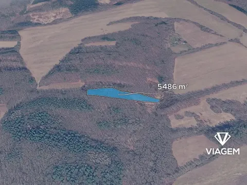 Prodej podílu lesa, Březůvky, 1828 m2