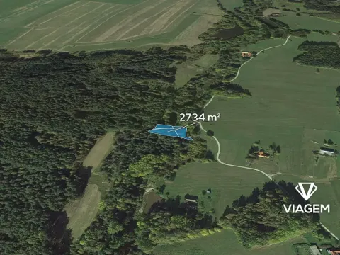 Prodej podílu lesa, Suchdol nad Lužnicí, 1367 m2