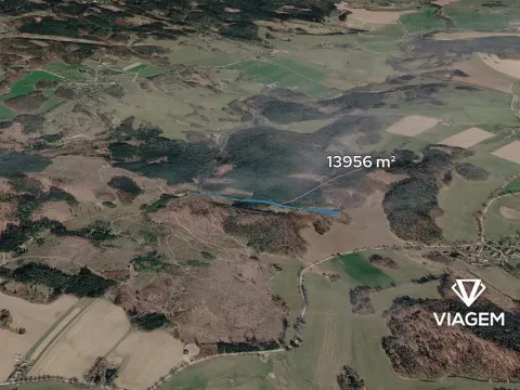 Prodej lesa, Řečice, 13956 m2