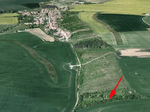 Prodej lesa, Mouřínov, 1278 m2