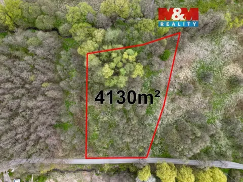 Prodej pole, Dětmarovice, 4130 m2