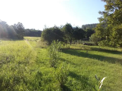 Dražba zahrady, Město Albrechtice, 694 m2