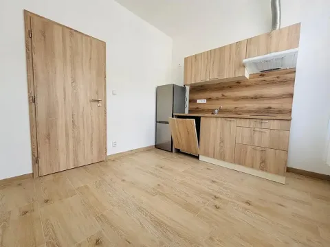 Pronájem bytu 1+1, Praha - Košíře, Holečkova, 35 m2