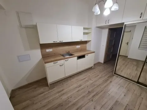 Pronájem bytu 1+kk, Praha - Nové Město, Opletalova, 43 m2