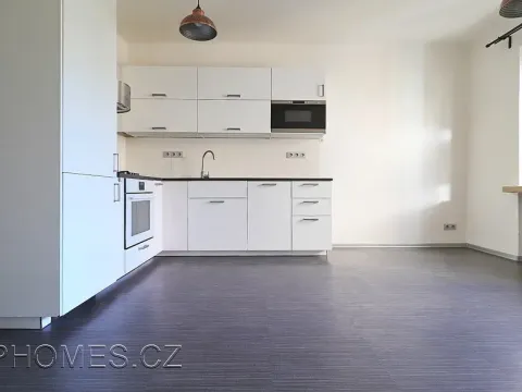 Pronájem bytu 2+1, Praha - Žižkov, Biskupcova, 81 m2