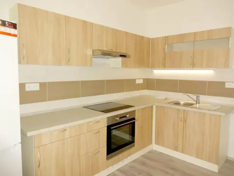 Pronájem bytu 1+1, Brno, Metodějova, 55 m2