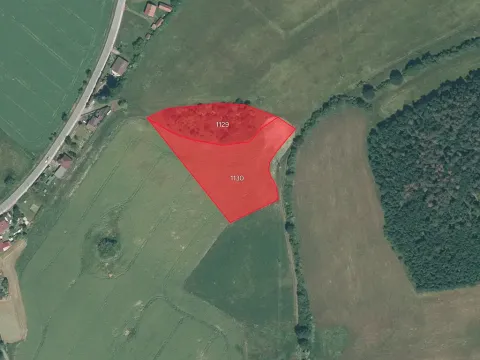 Prodej pole, Předenice, 9648 m2