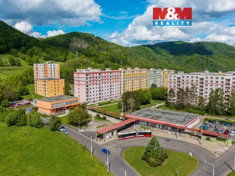 Prodej bytu 1+1, Ústí nad Labem, Peškova, 35 m2