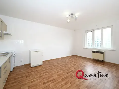 Pronájem bytu 1+kk, Praha - Vinohrady, Fričova, 31 m2