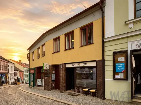 Prodej obchodního prostoru, Třebíč, Hasskova, 258 m2