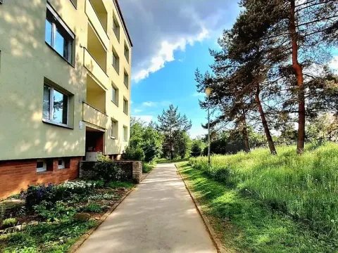 Pronájem bytu 2+1, Brno, Stamicova, 50 m2