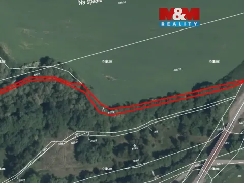Prodej lesa, Trhové Dušníky, 909 m2