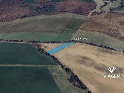 Prodej podílu pole, Pašovice, 505 m2