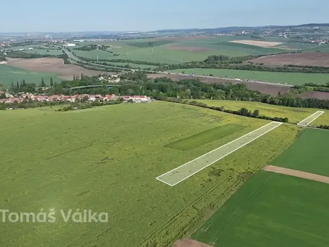 Prodej pole, Velešovice, 12974 m2
