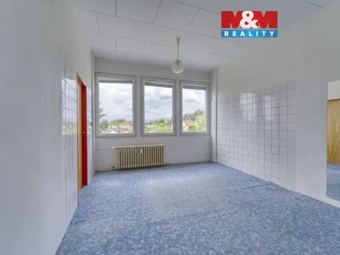 Pronájem obchodního prostoru, Nepomuk, Na Vinici III., 39 m2