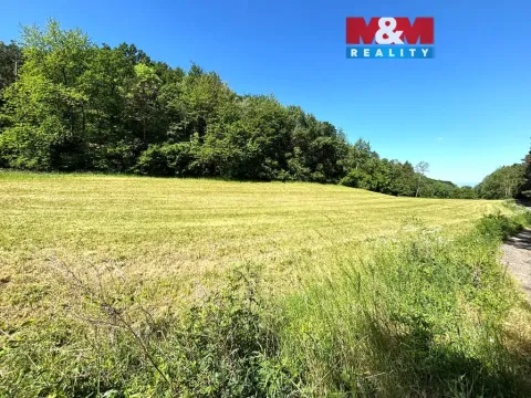 Prodej pole, Zbrašín, 7613 m2