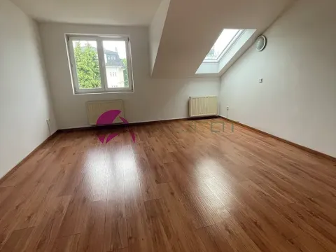 Pronájem bytu 1+1, Olomouc, Dolní hejčínská, 42 m2