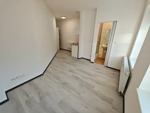 Pronájem bytu 1+kk, Praha - Hlubočepy, Na Zlíchově, 23 m2