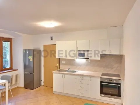 Pronájem bytu 2+kk, Olomouc, Panská, 45 m2