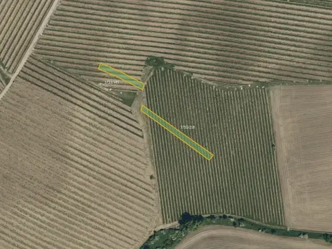 Prodej pole, Vracov, 11374 m2