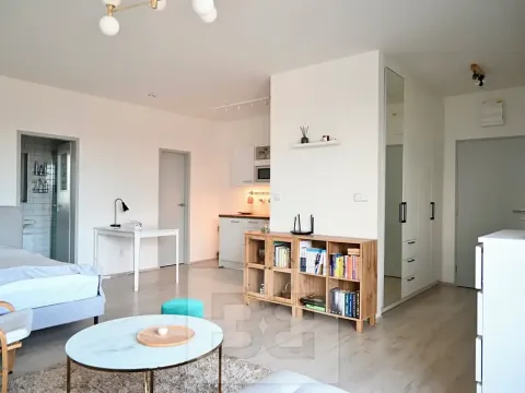 Pronájem bytu 1+kk, Brno, Křenová, 40 m2