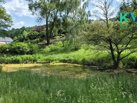 Pronájem zahrady, Sadov, 3000 m2