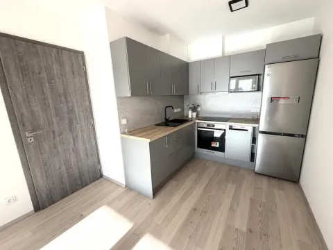 Pronájem bytu 2+kk, Brno - Černá Pole, třída Generála Píky, 56 m2