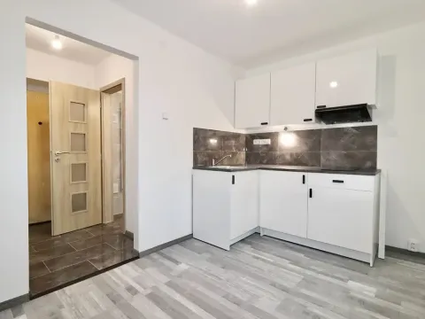 Prodej bytu 1+1, Teplice, Ruská, 30 m2