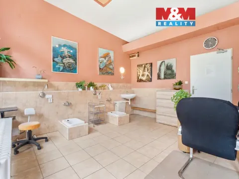 Prodej obchodního prostoru, Praha - Krč, Horáčkova, 24 m2