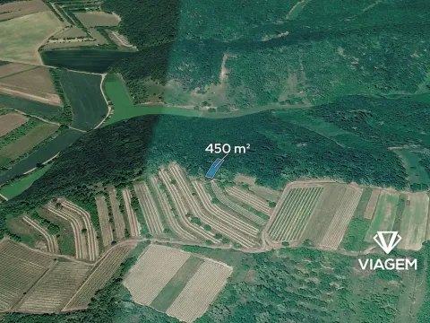Prodej lesa, Němčičky, 450 m2