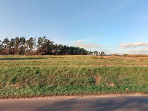 Prodej pole, Velký Bor, 18300 m2