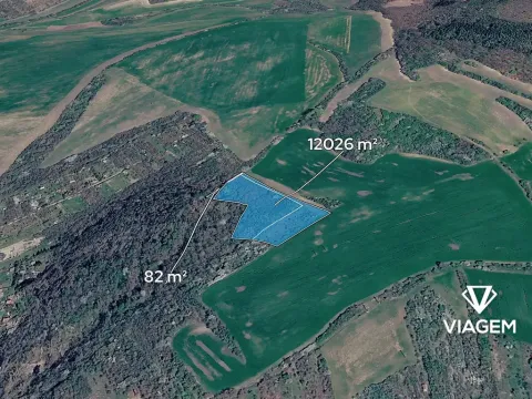 Prodej podílu pole, Kyjov, 3027 m2