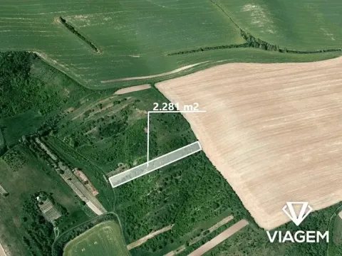 Prodej zahrady, Nosislav, 2281 m2