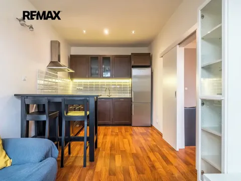 Pronájem bytu 1+1, Praha - Břevnov, U kaštanu, 43 m2