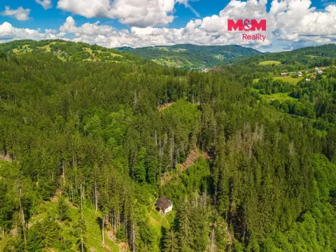 Prodej lesa, Jablonec nad Jizerou - Dolní Tříč, 18052 m2