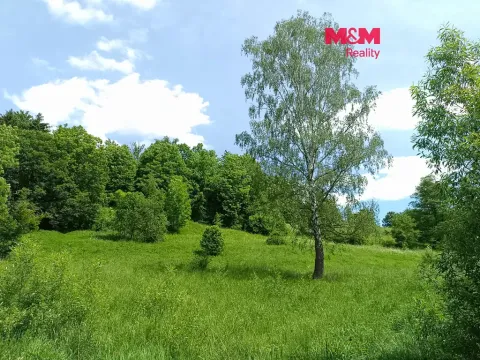 Prodej pozemku pro bydlení, Božanov, 3276 m2