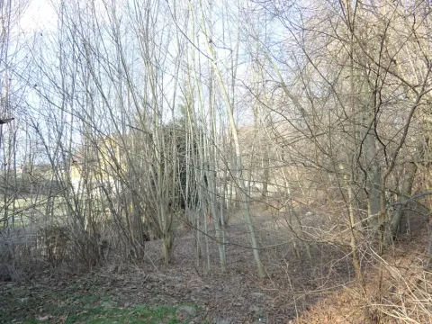 Prodej pozemku, Hamr na Jezeře, 471 m2