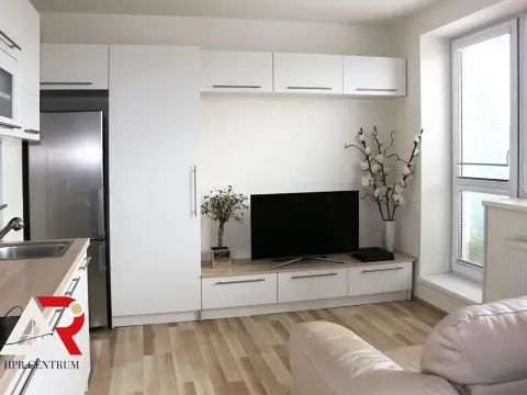 Pronájem bytu 1+kk, Brno, Hostinského, 30 m2