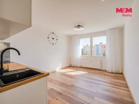 Prodej bytu 1+kk, Horní Bříza, U Vrbky, 22 m2